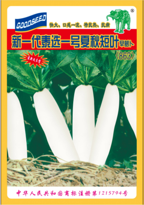 新一代泰选一号夏秋短叶早萝卜(863)